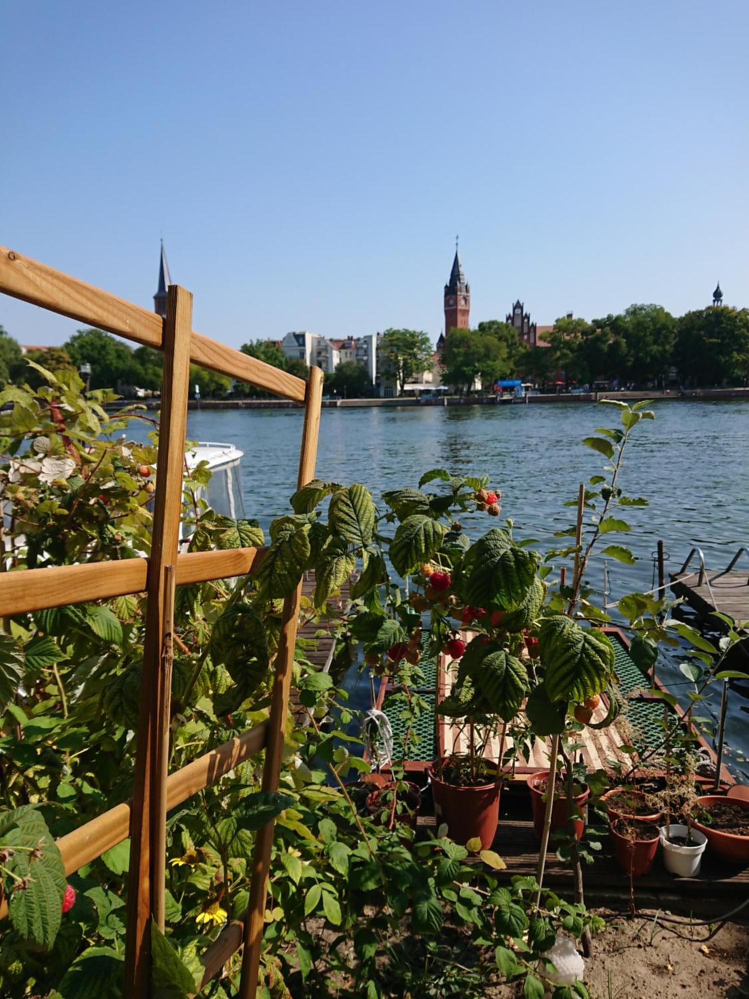 Ferienwohnung Dahme Berlin Am Wasser Экстерьер фото